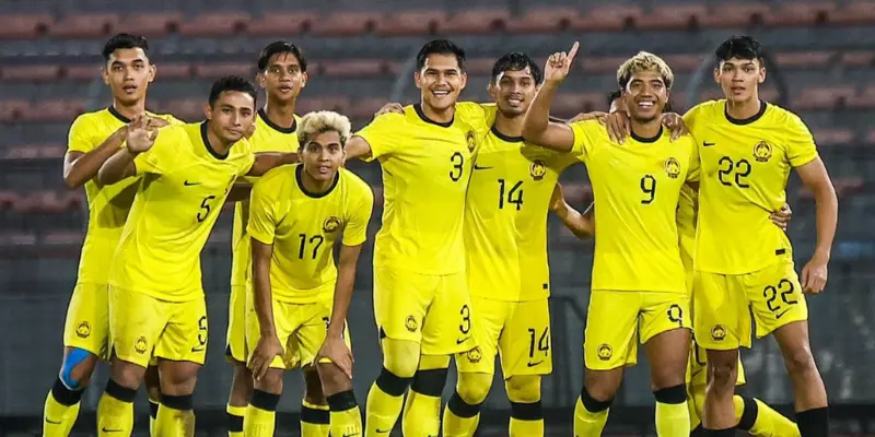 Phong độ của những chú hổ duy trì ổn định